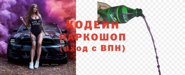прущие грибы Кедровый