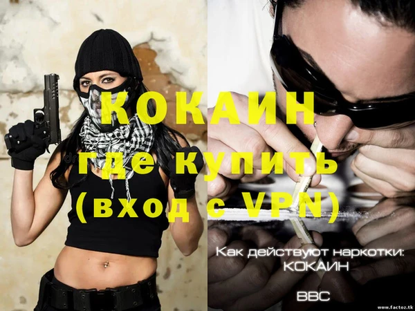 прущие грибы Липки