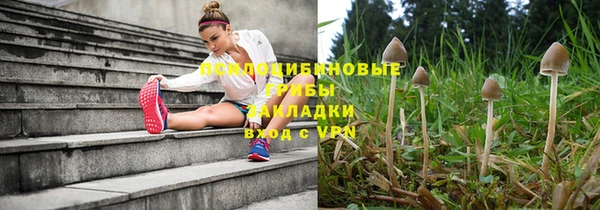 ГАЛЛЮЦИНОГЕННЫЕ ГРИБЫ Лиски