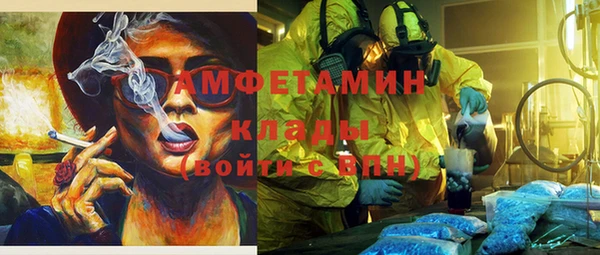 прущие грибы Кедровый