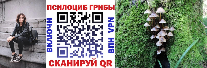 как найти закладки  Нерехта  Псилоцибиновые грибы Psilocybine cubensis 