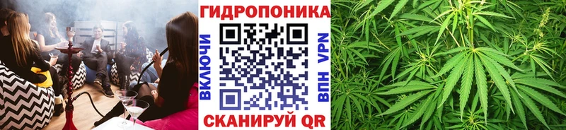 Бошки марихуана семена  Нерехта 